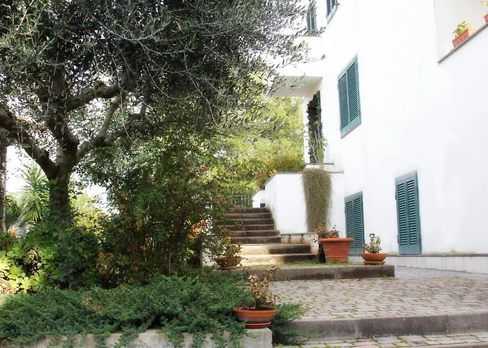 B&B Privileged